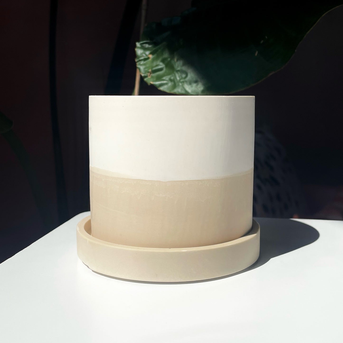 Beige & White Pot