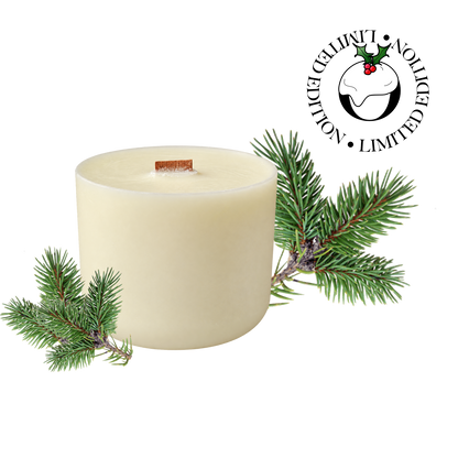 Nordic Pine & Peppermint